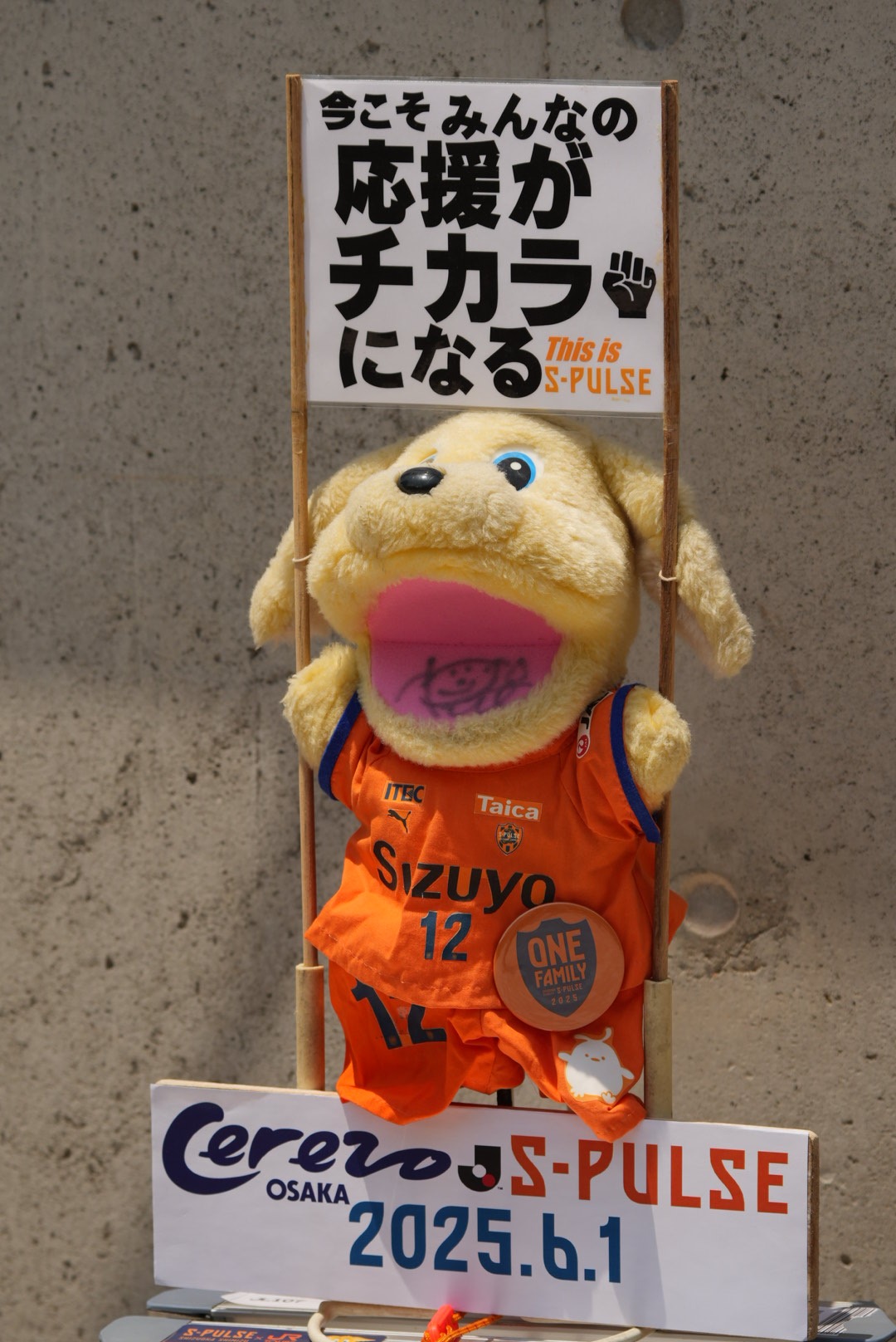 公式】アルビレックス新潟フォトサポ | ファンのための推し活