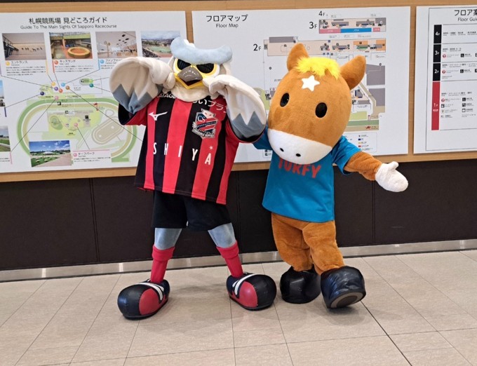 公式】北海道コンサドーレ札幌フォトサポ | ファンのための推し